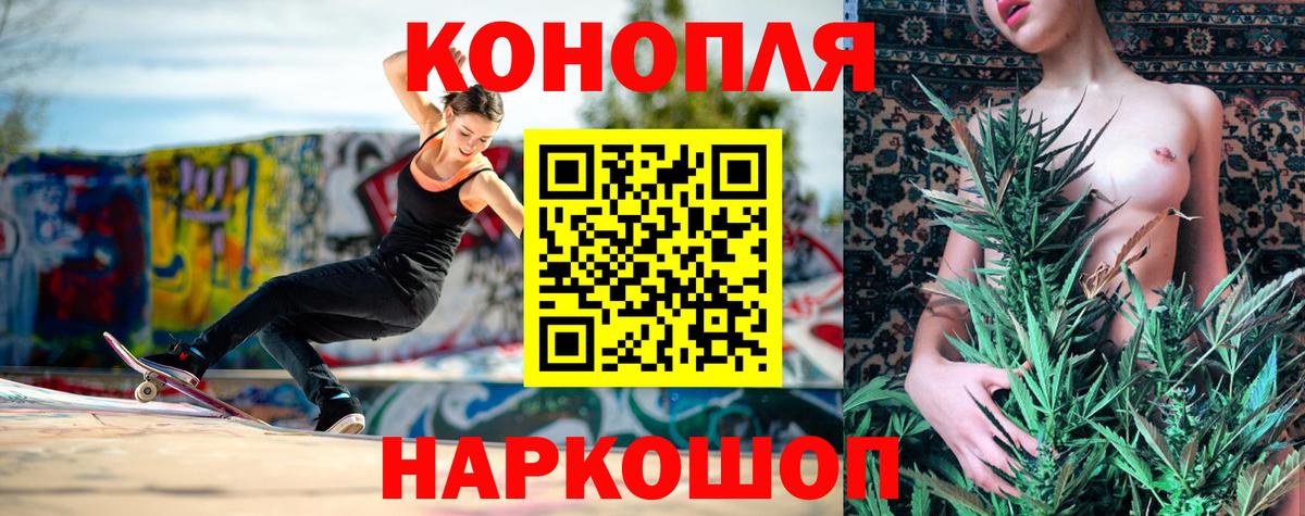 Каннабис сатива Крымск